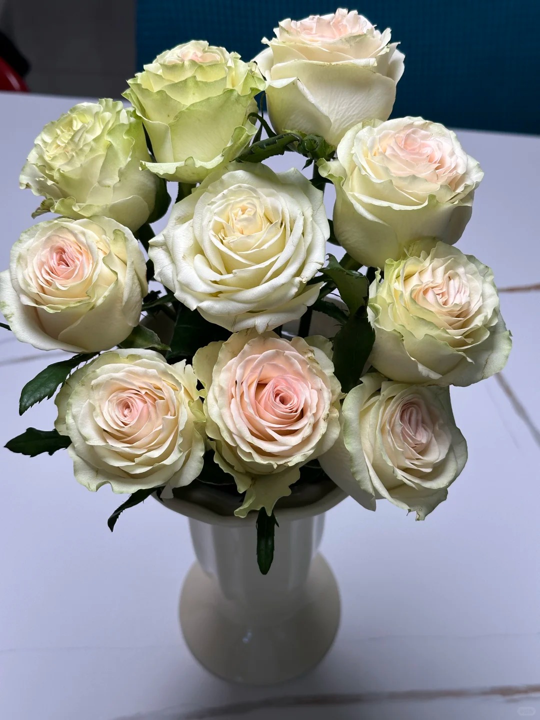 （蔓蔓）琉璃翠单头玫瑰15支+5支防损 1单包邮