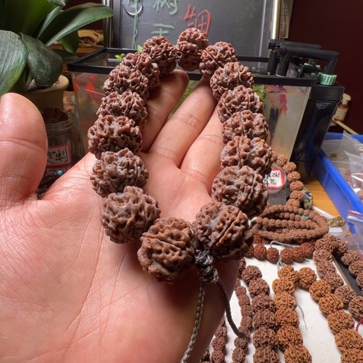 手串金刚菩提23➕梅花