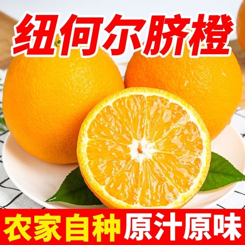 【偏远地区拍邮政快递】湖北宜昌纽荷尔脐橙水果榨汁鲜橙5斤