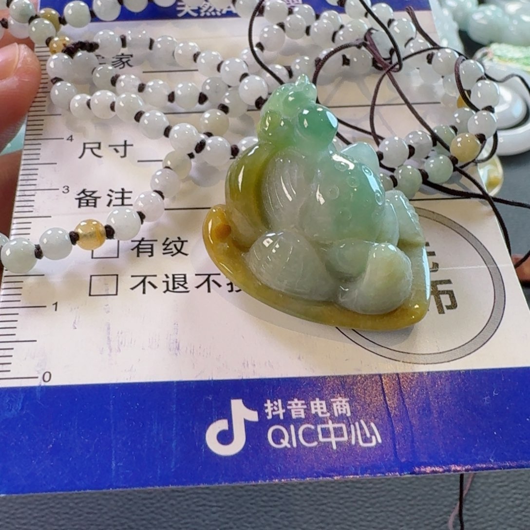 翡翠颈饰未镶嵌颈饰
