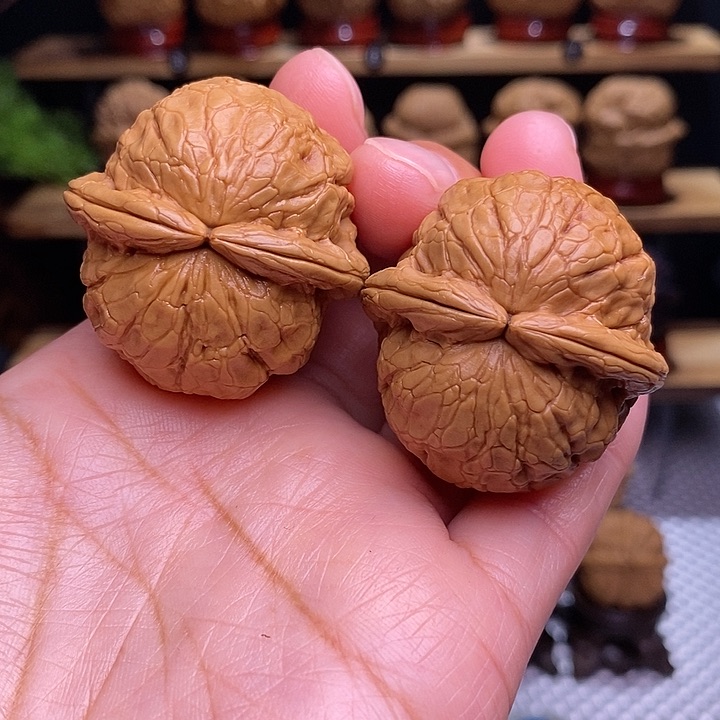 文玩核桃把件金龟玉甲1