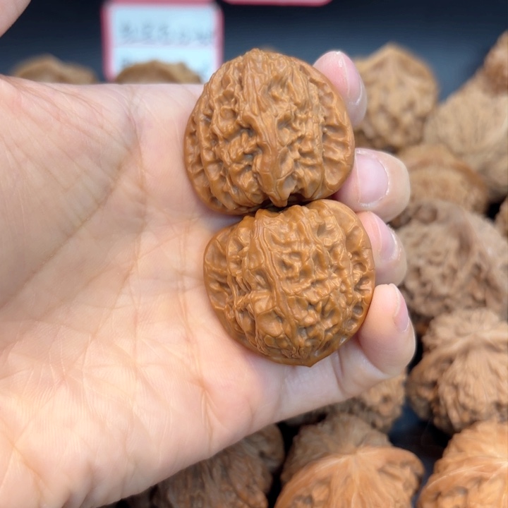 34白狮子有修打底打底