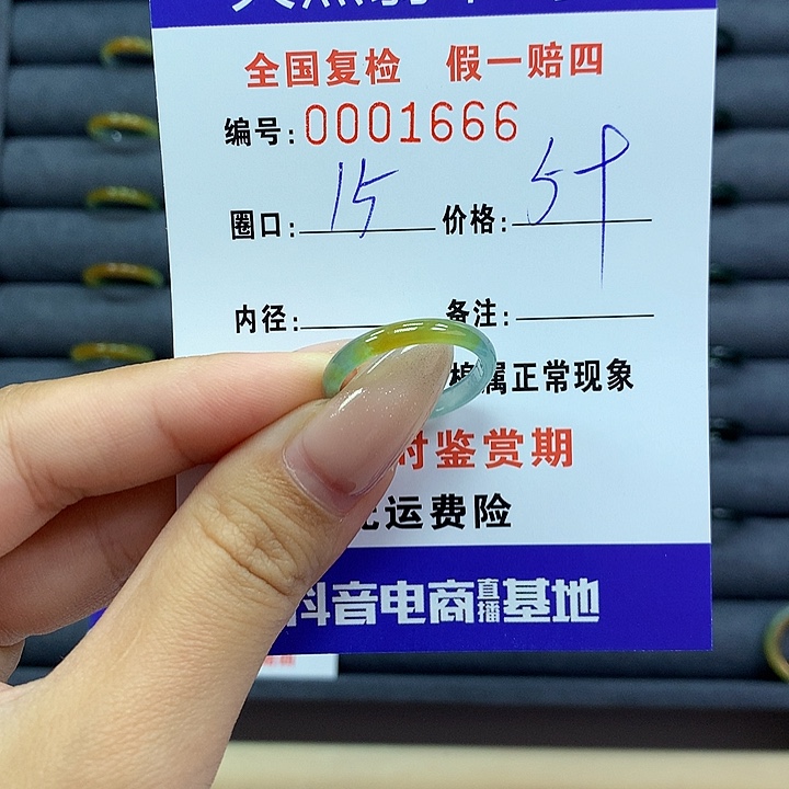 翡翠戒指未镶嵌     1666