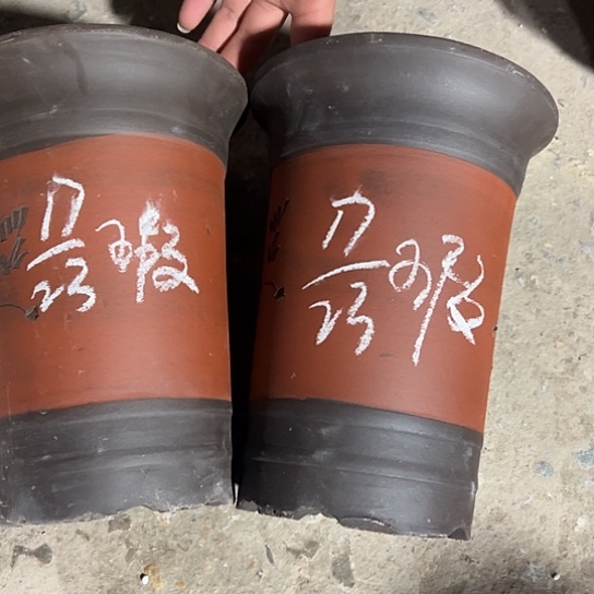 紫砂工艺厂……紫砂工艺厂……