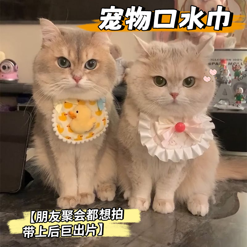 宠物猫咪蕾丝围兜夏天小狗口水巾蝴蝶结小猫可爱围嘴围脖拍照装扮