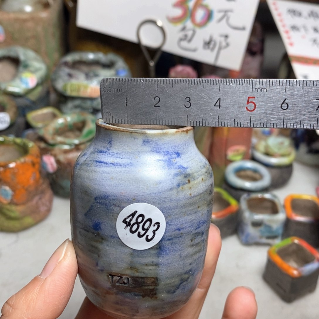 花盆拍5送一个小礼物