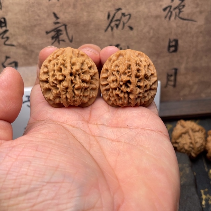 M****今日拍品宇航员哥的拍品