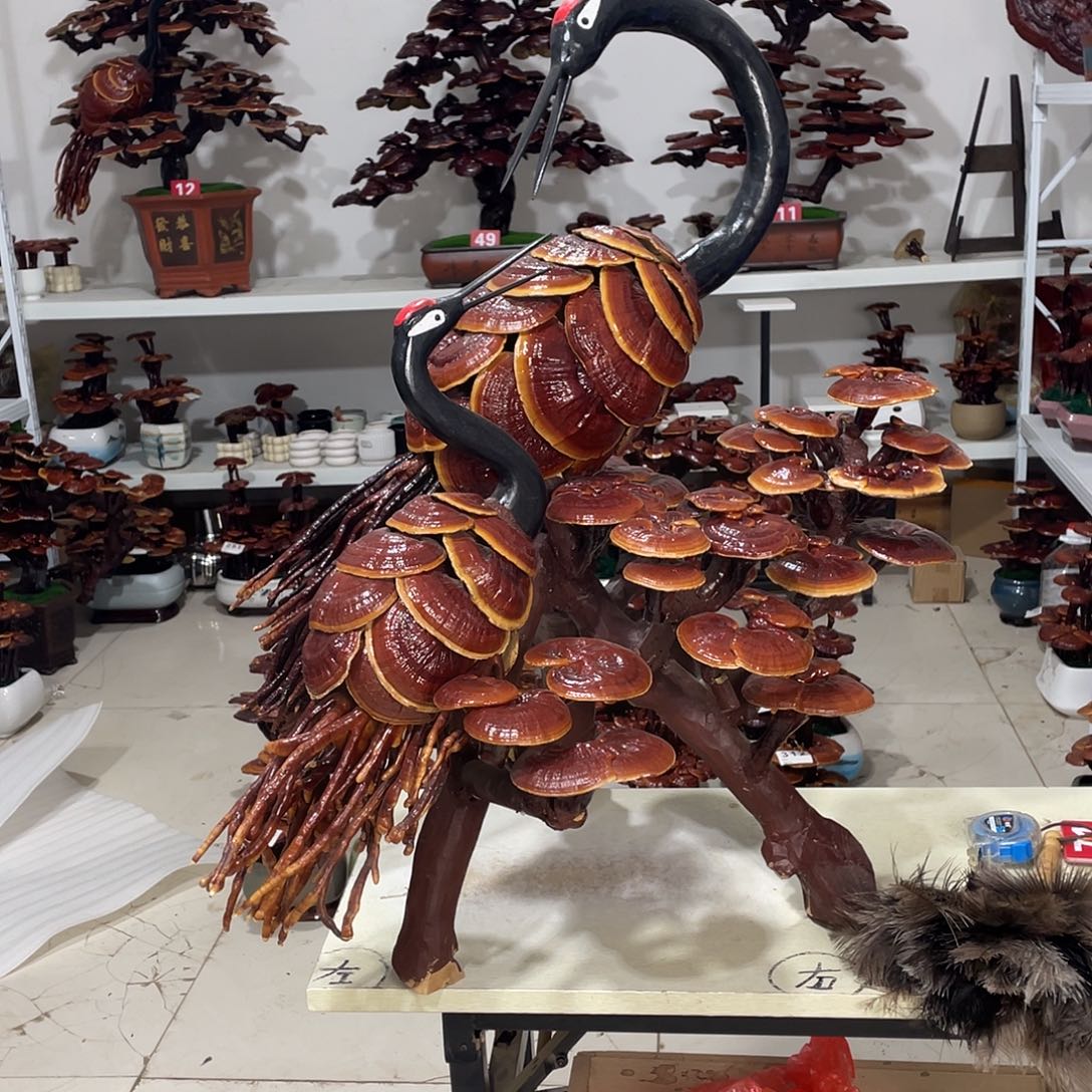 无花朵88888888888888