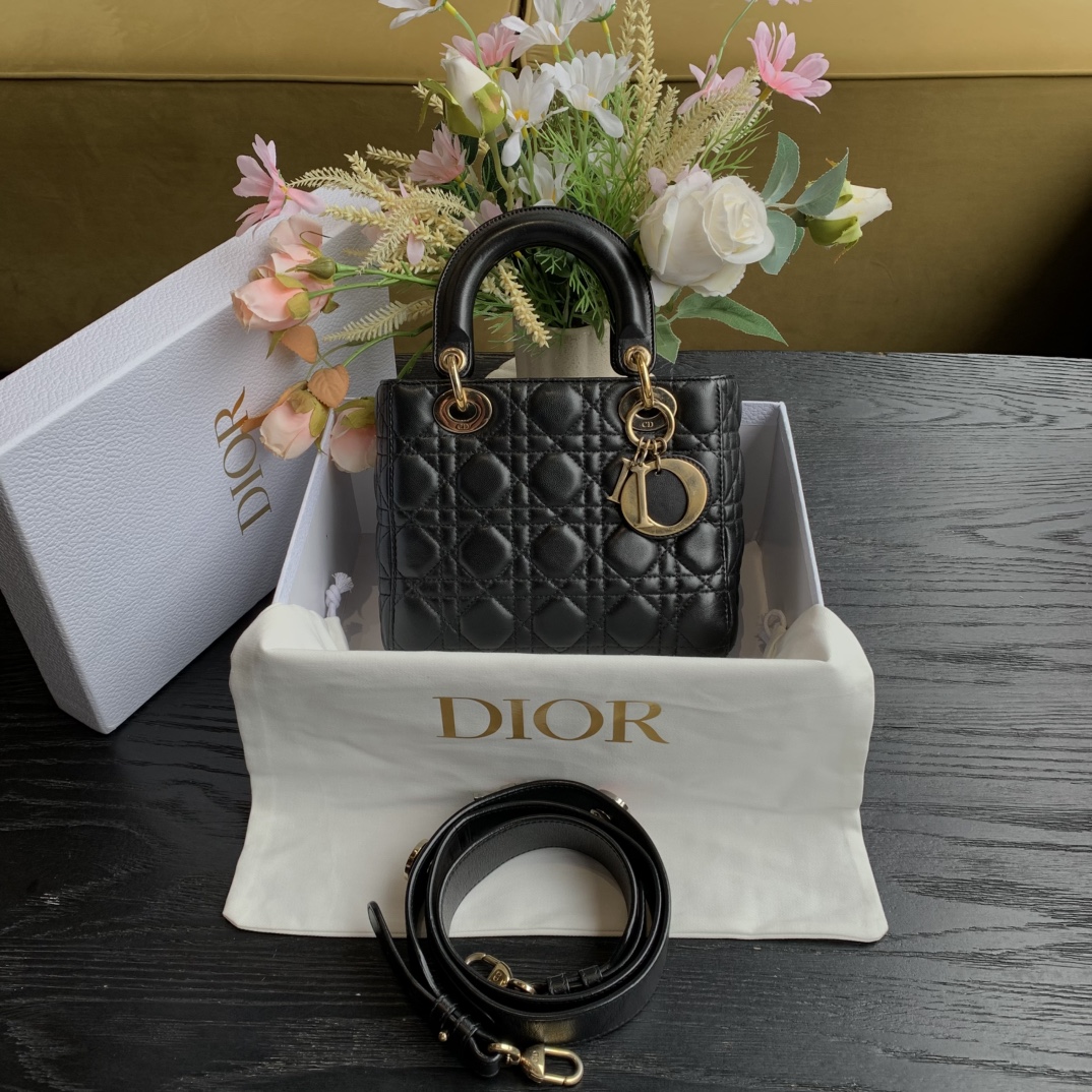 95新 DIOR/迪奥 迪奥 四格徽章戴妃包/sp23480