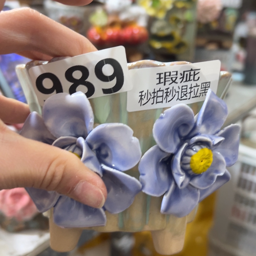 瑕疵989 满20发货花盆爱退拉黑