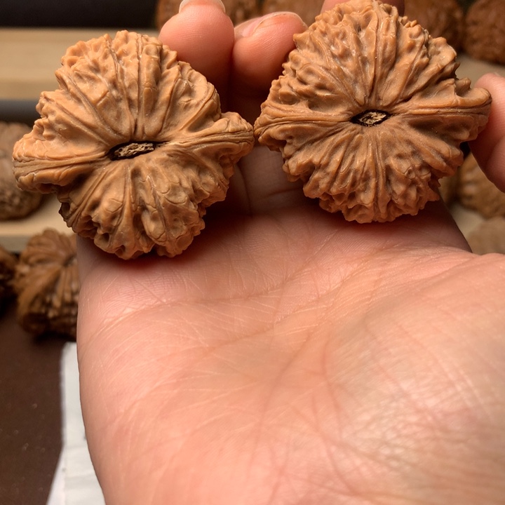 文玩核桃吊坠乌***王