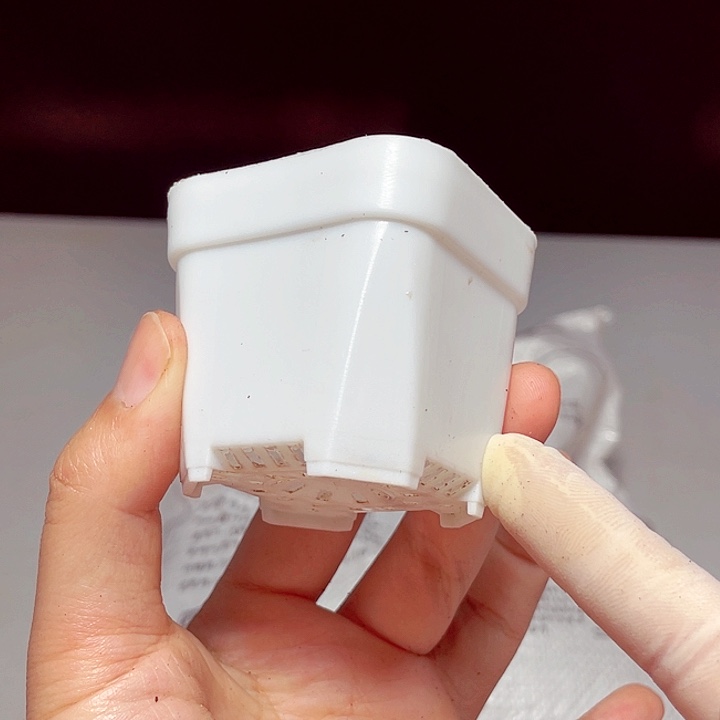 小白盆15个1111111