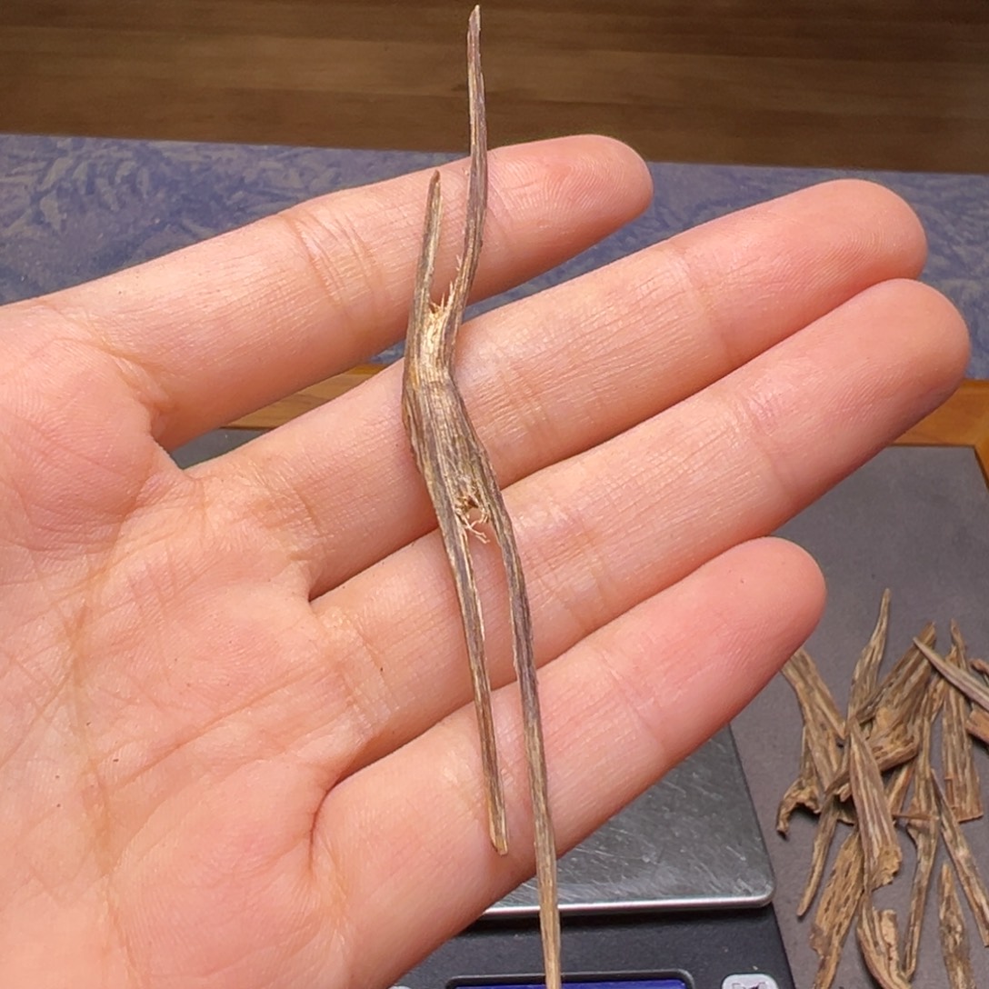 茉***莉沉香碎屑沉香广东台山沉水老树心0.6克