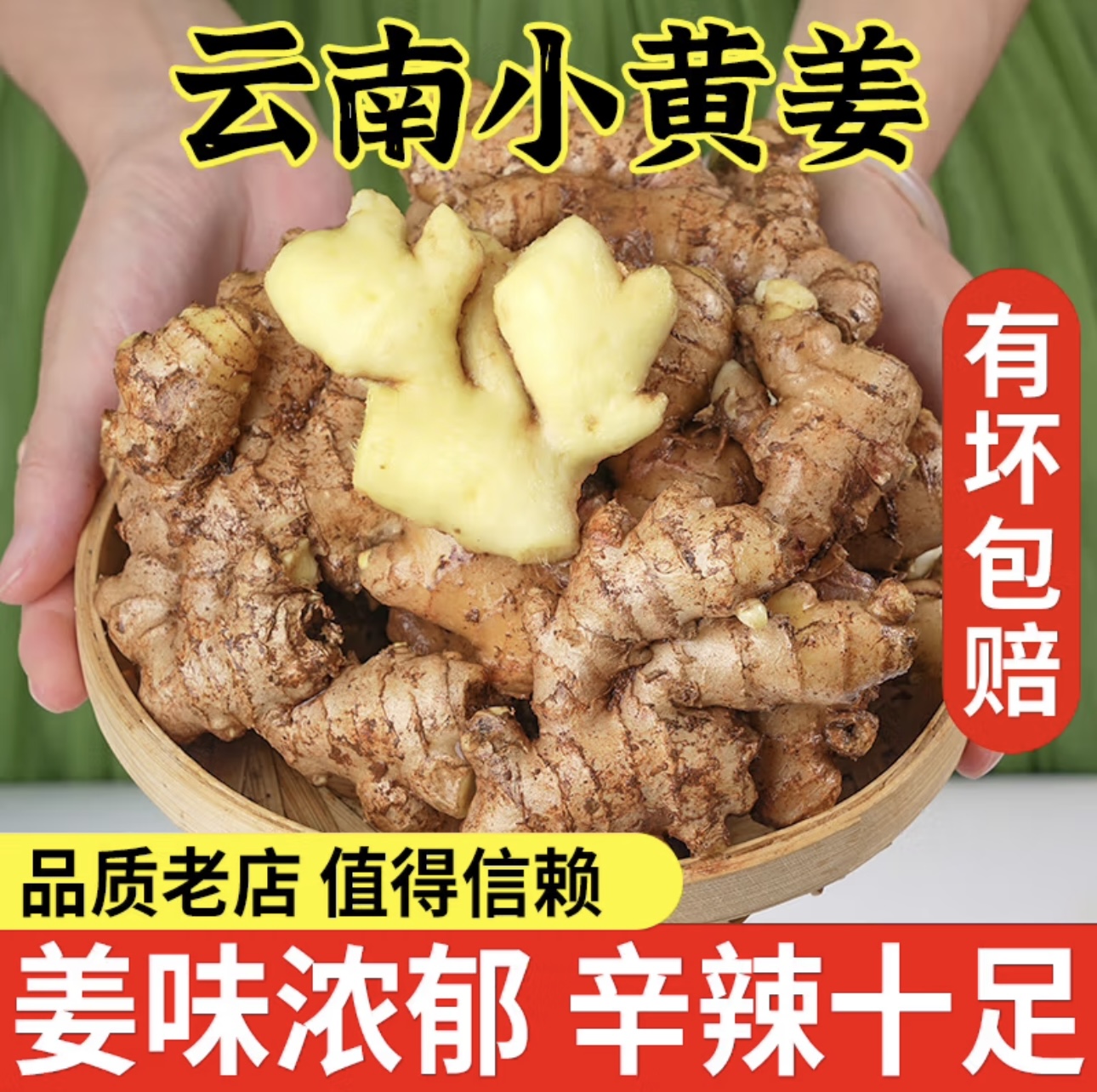 正宗云南小黄姜香味浓郁辛辣够味现挖山地种植生姜产地直销新鲜