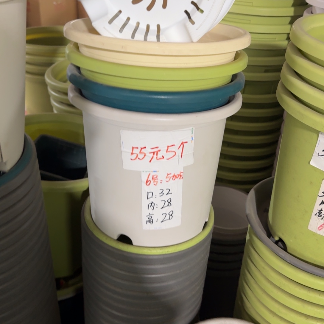 四季6#口径32无拖果绿5个