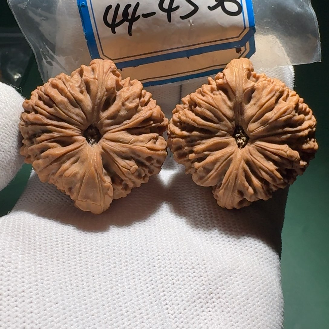 吊坠文玩核桃17号球将矮