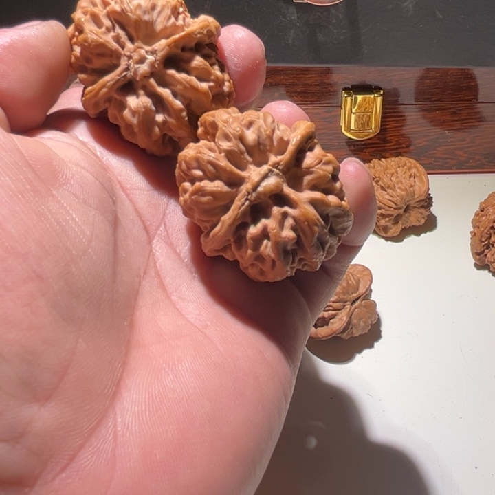 文玩核桃把件7**丶承德大粗筋