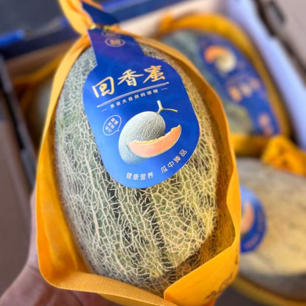 青蛙王子回香蜜瓜
