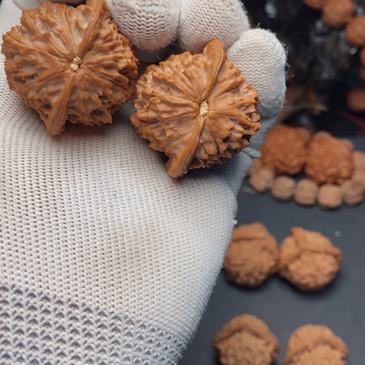 把件文玩核桃小*?秦岭野生凤林鸡