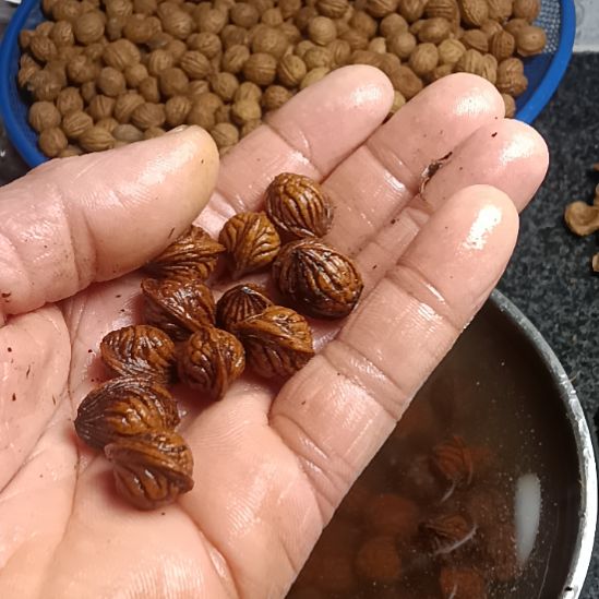 水***金吊坠桃核野生山桃核龙纹