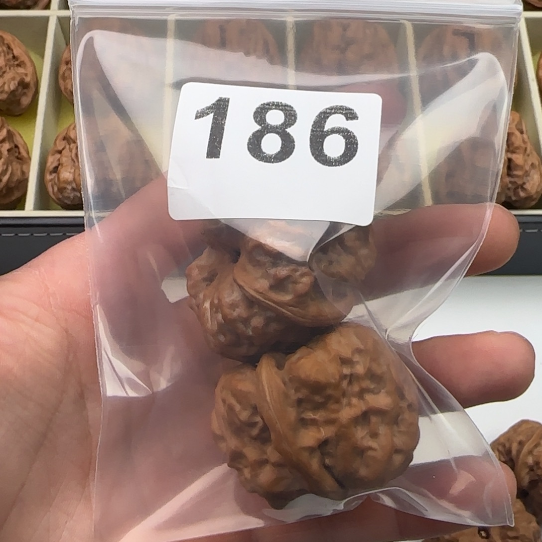 紅***芒文玩核桃天花板39