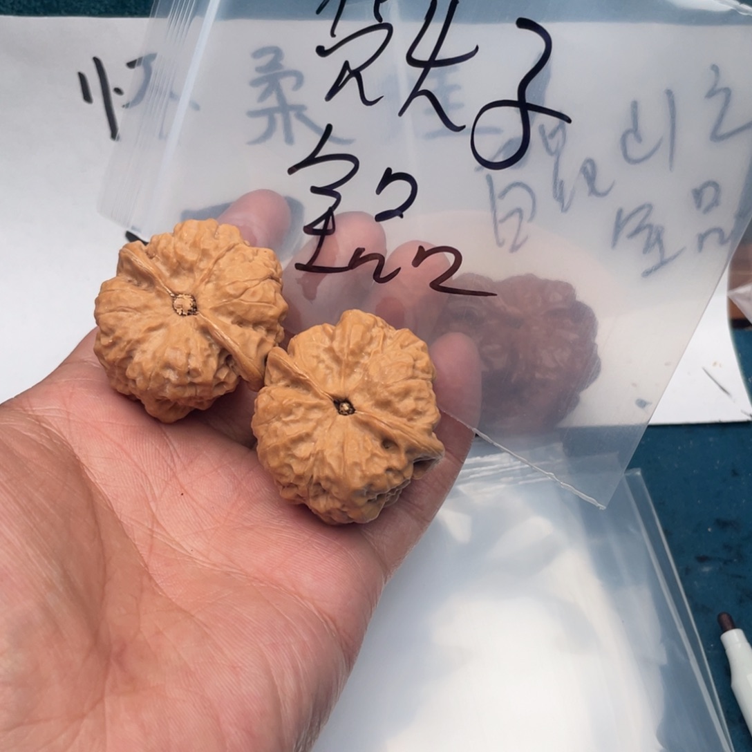 核桃W9649749477479749794