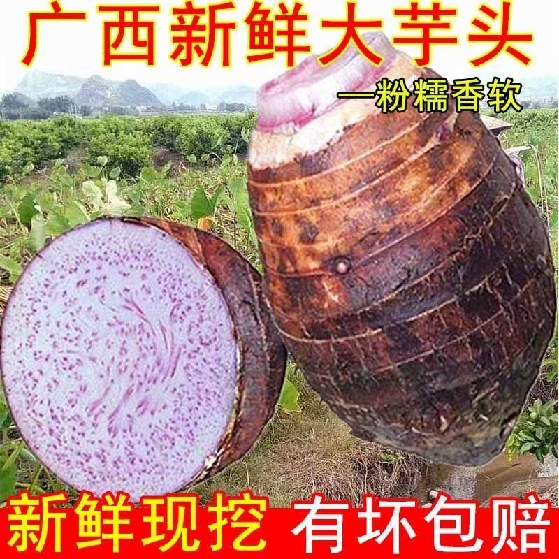 正宗广西桂林荔浦芋头荔浦槟榔芋粉糯香芋荔浦小芋仔当季新鲜现挖