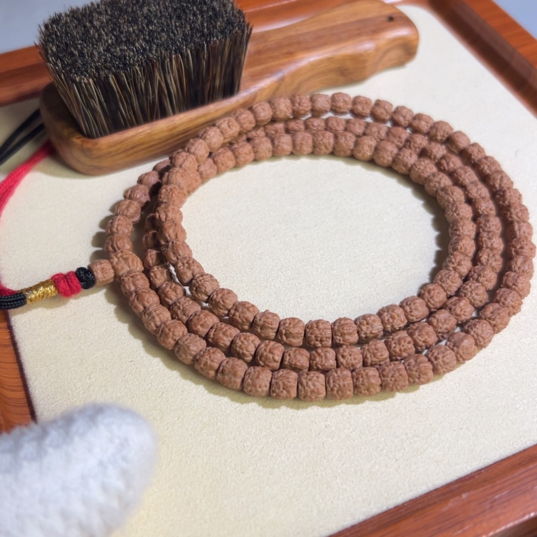 睡**?五爪金龙龙切佛手小金刚