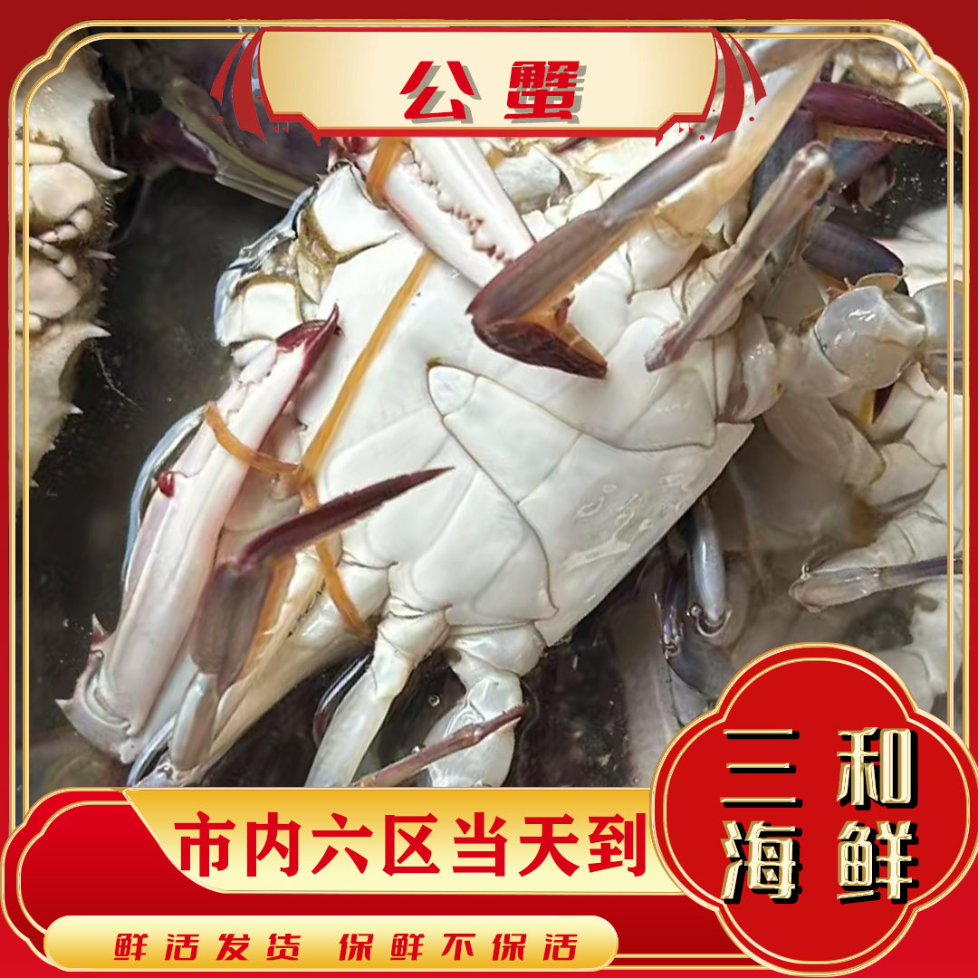 【保鲜不保活】海捕大公蟹（每斤2-3只 单只4两以上）当日达