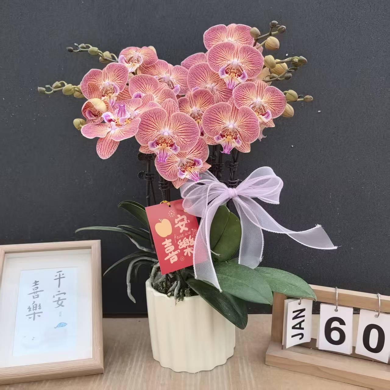 《金缕衣》蝴蝶兰艺术组盆鲜花摆设高端花卉