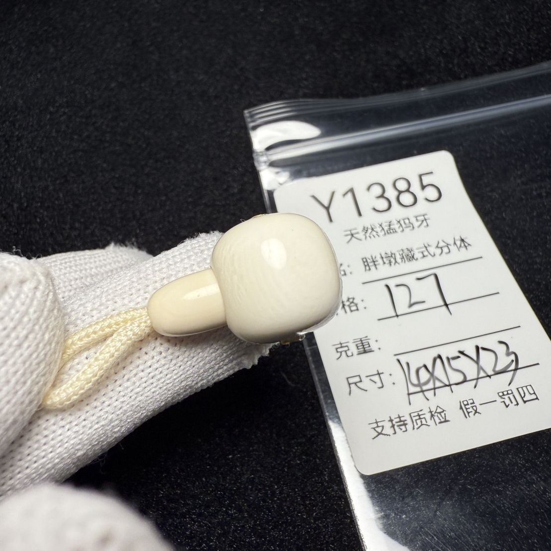 Y1385天然猛犸象牙藏式分体三通胖墩分体14*15*23冰料果冻料