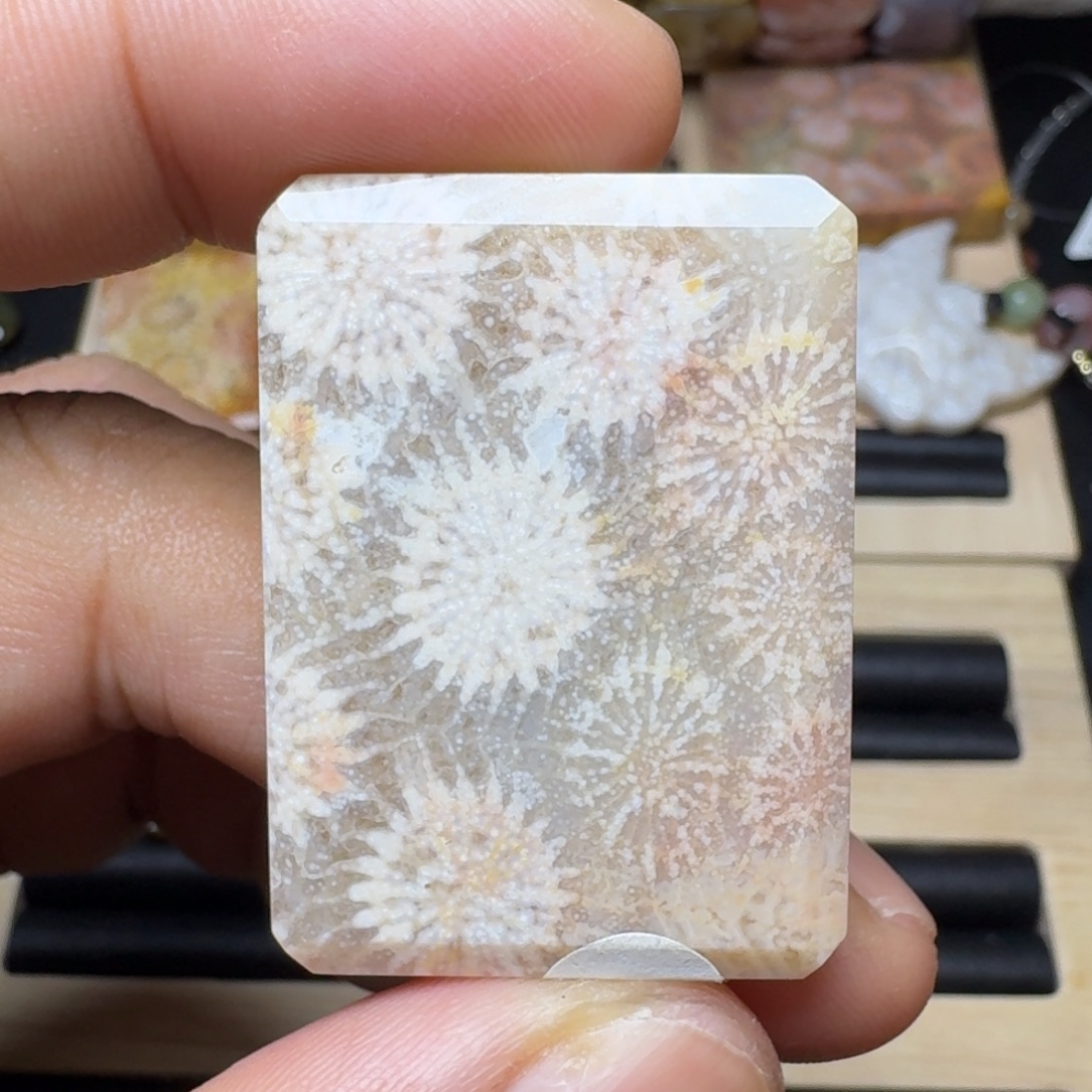 未镶嵌纯天然色有机玉石保真色硅化玉