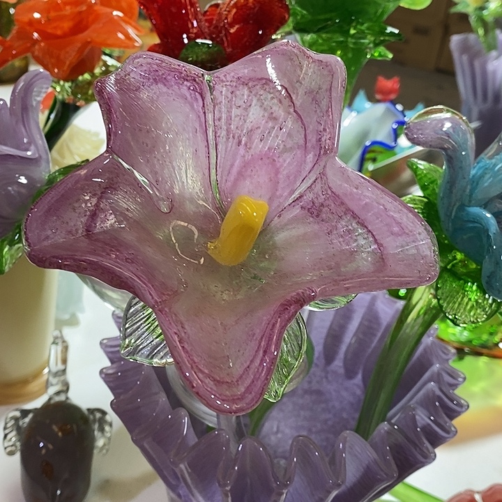 夜光花高45厘米宽12厘米