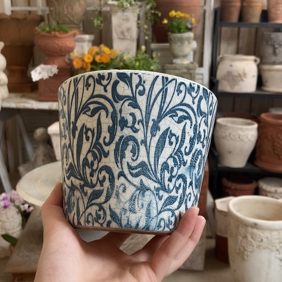 朵***.福利一个11111111111