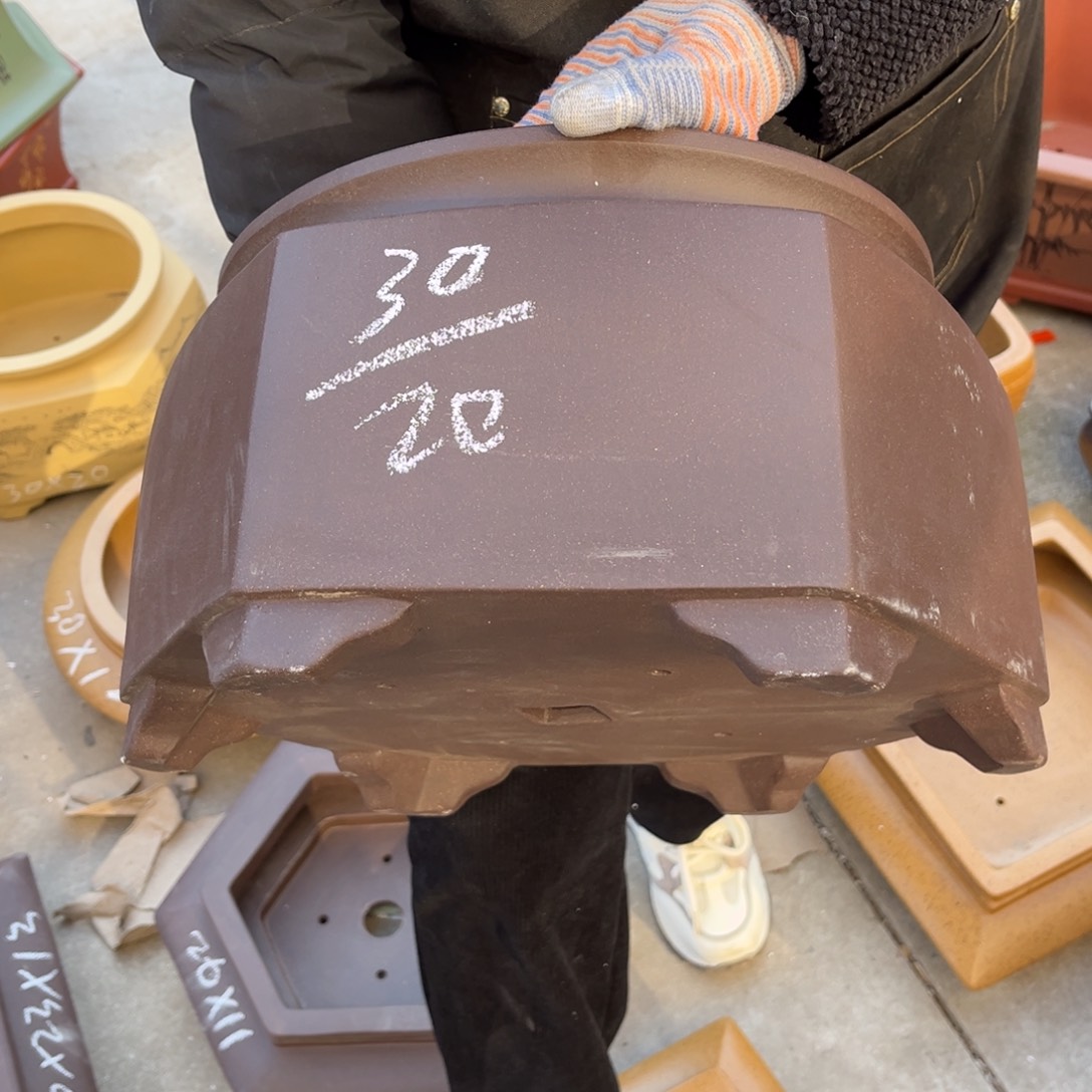 紫砂花盆盆景艺术