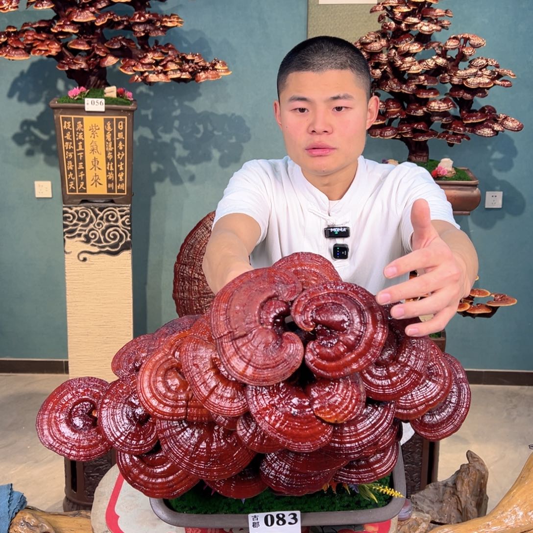 无花朵88888888888