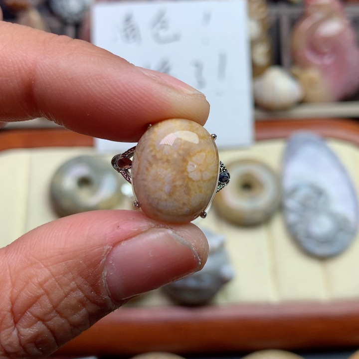硅化珊瑚（珊瑚玉）颈饰未镶嵌