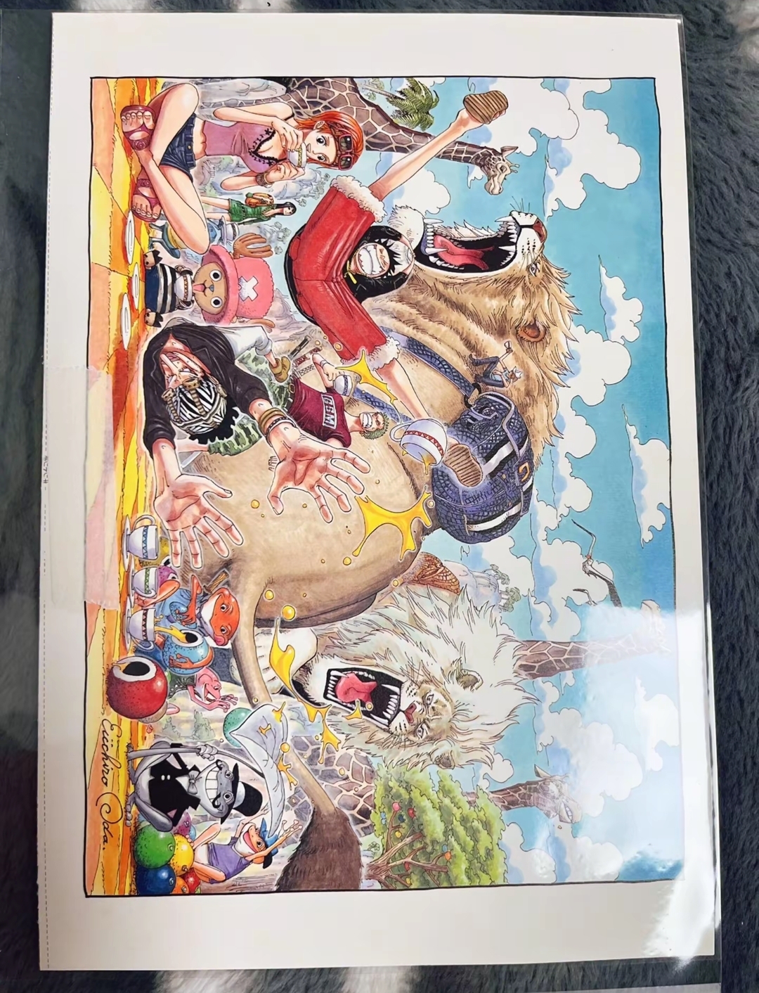 明选-海贼王 画集 切页 海报