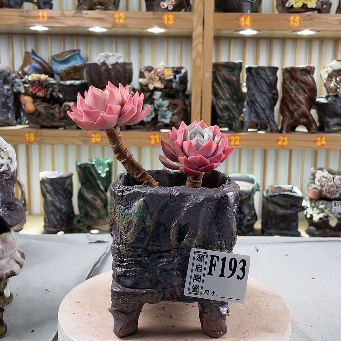 紫砂花盆193 手工制作默认微瑕