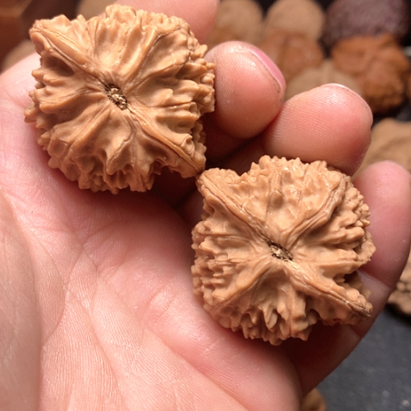 【闪购商品】小*猪平鼎狮