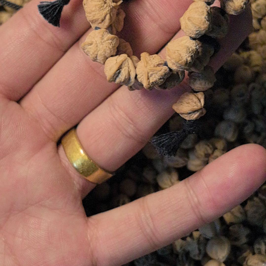 停***3柏香籽/百香籽手串