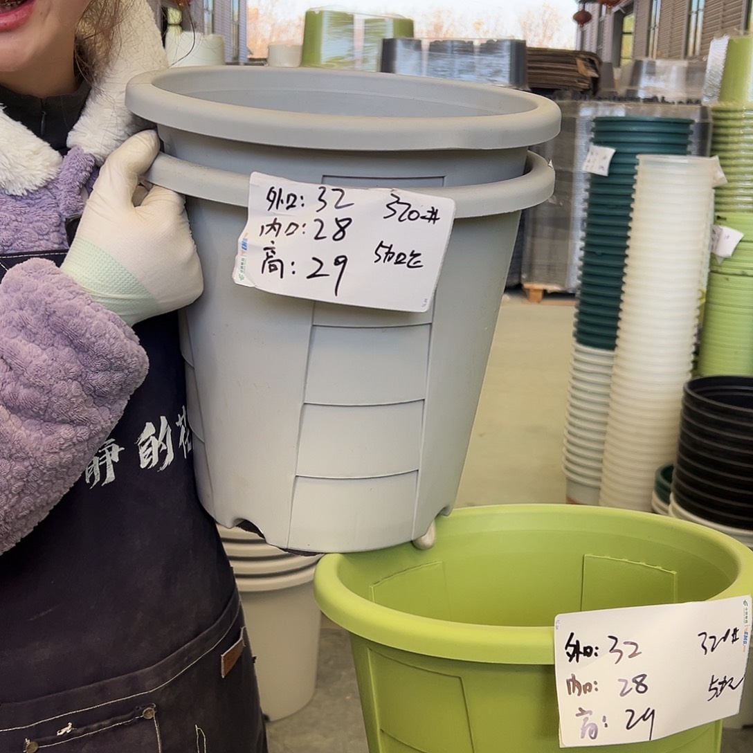 玫瑰盆320灰白色5个无托