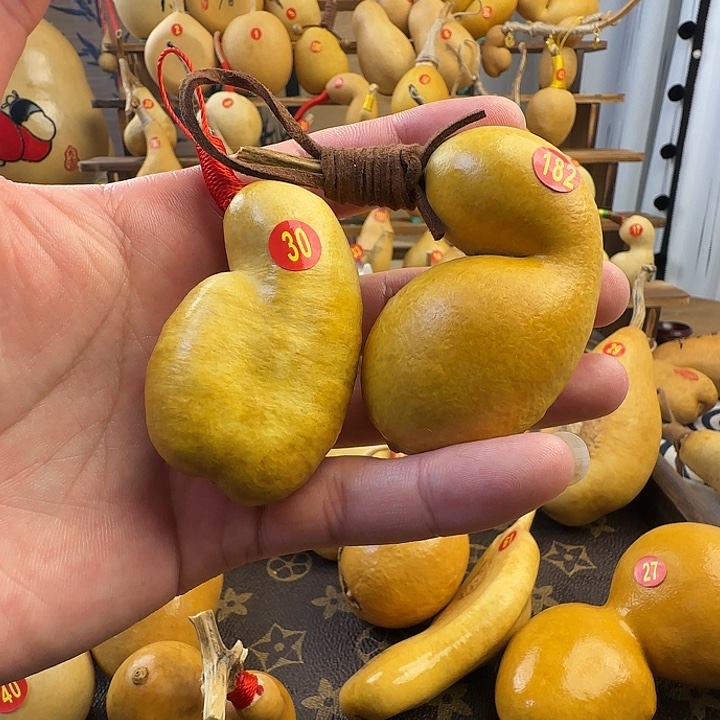 葫芦蚂蚁弓背土豆