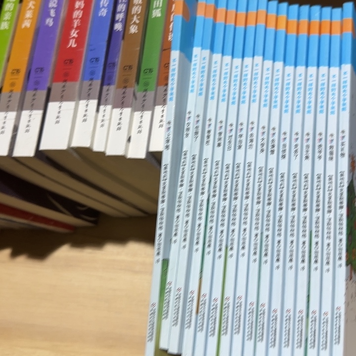 高溢价大个子米妮套装16本