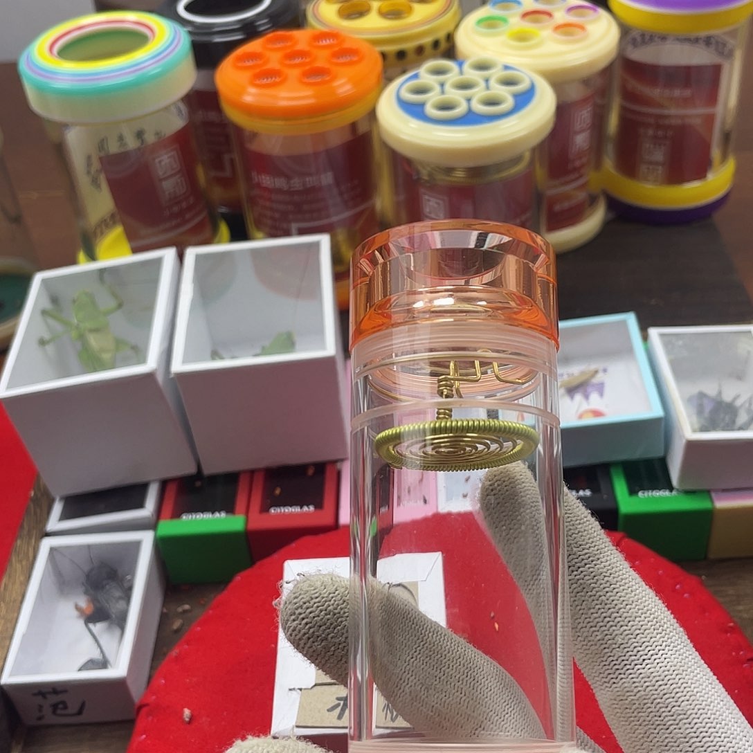 卖***板蟋蟀新的一年希望自己能有个好