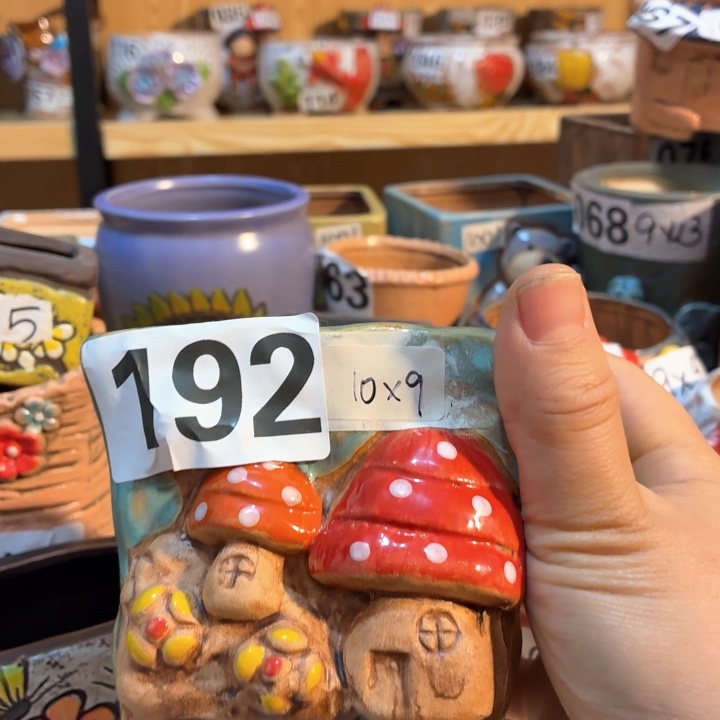 多肉花盆满15包邮