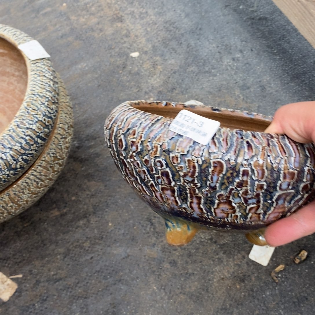 禾***呈3号花盆的福利啦啦啦了啦