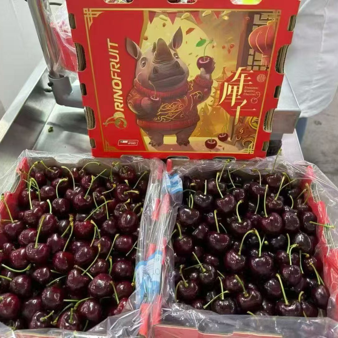 【广州同城】智利空运桑提娜车厘子4J（附送卡纸）400g装-5斤装智利