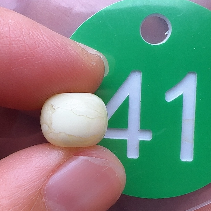 蜜蜡裸石未镶嵌9.9m m