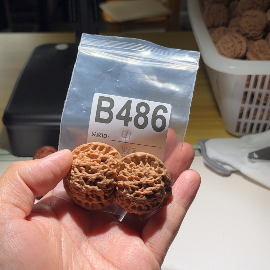 文玩核桃吊坠北**A宫灯